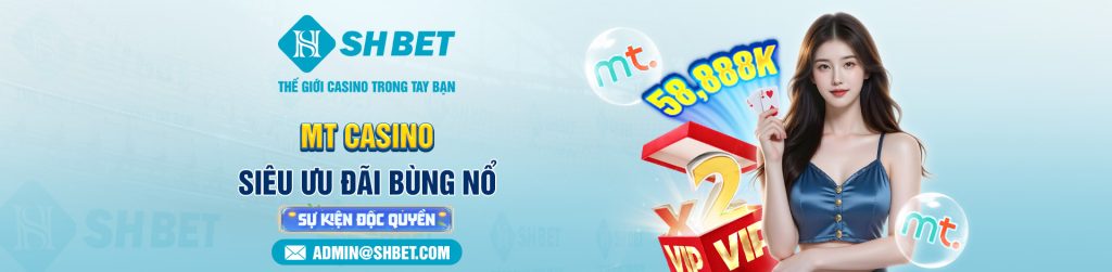 81970b41ea6a43cf81191c89fa537604-1024x251